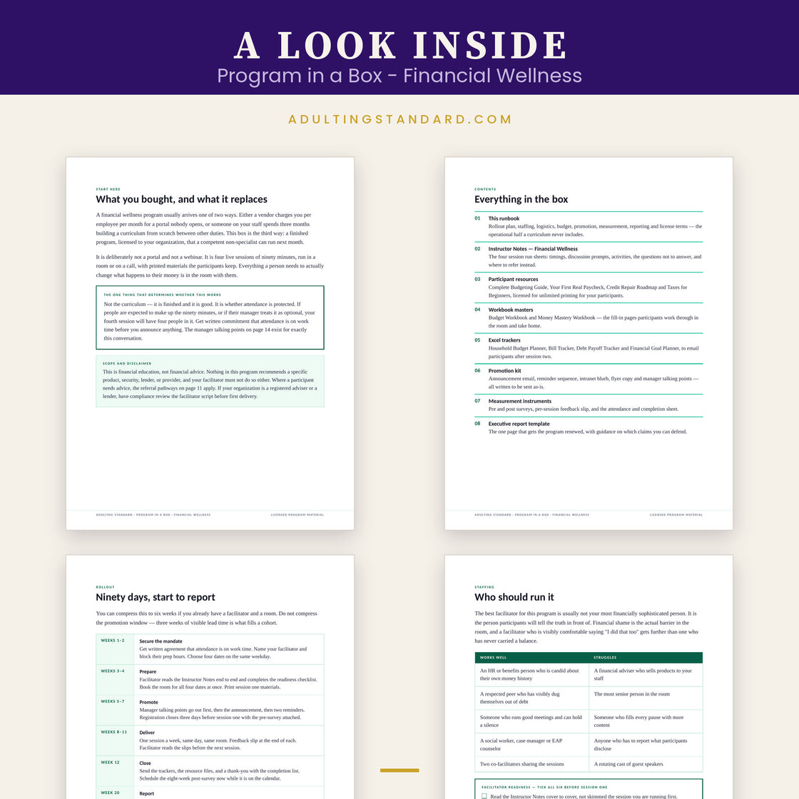 Program in a Box - Financial Wellness — a look inside — sample pages