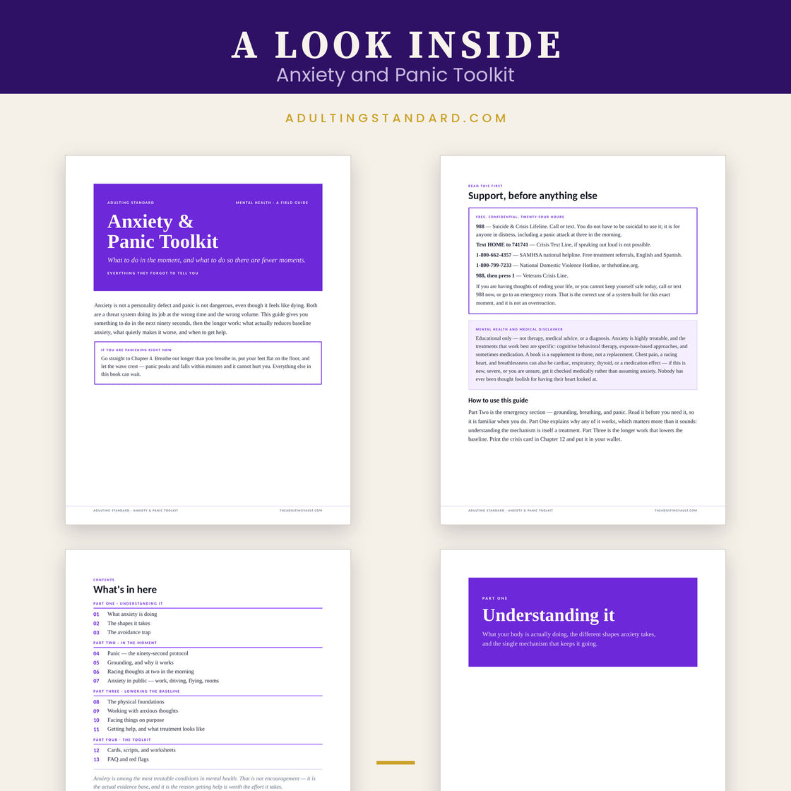 Anxiety and Panic Toolkit — a look inside — sample pages