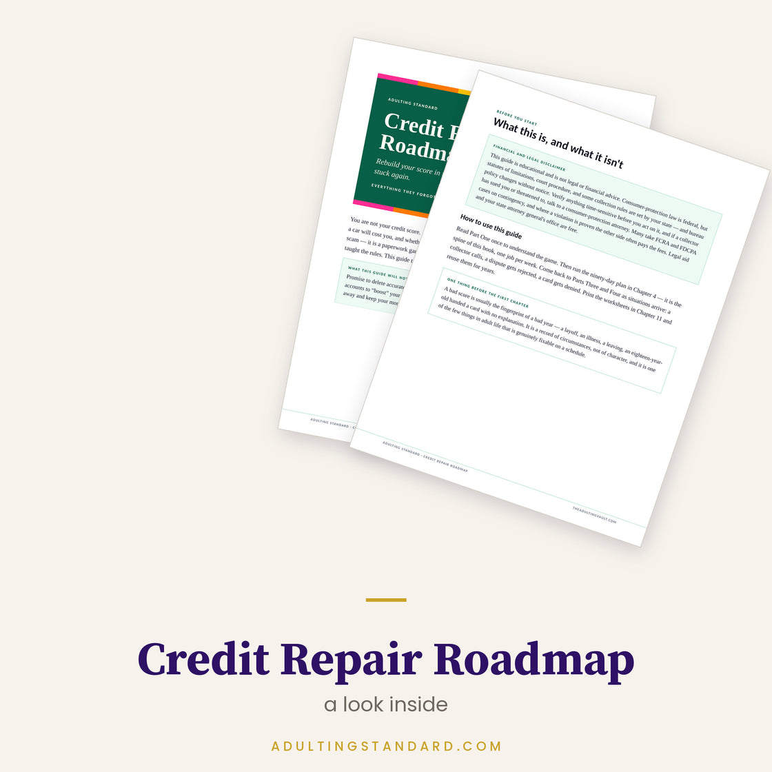 The Debt Payoff Kit — a look inside — sample pages