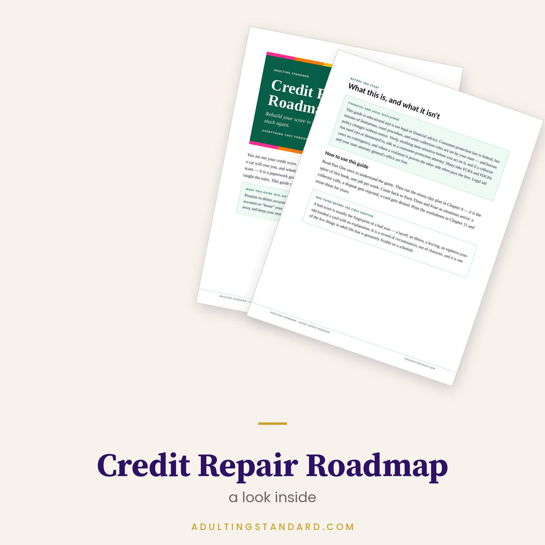 The Debt Payoff Kit — Print Edition - a look inside — sample pages