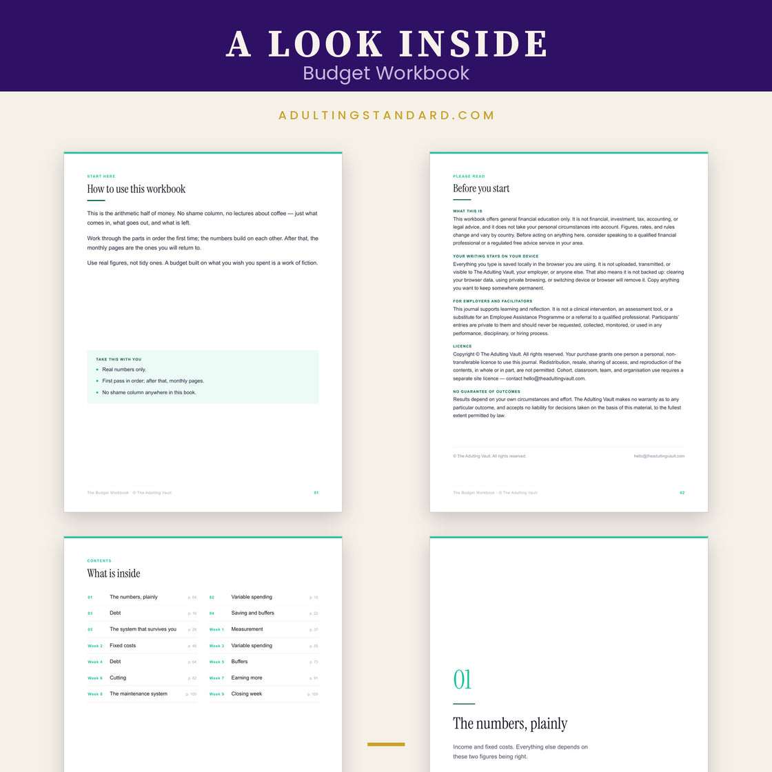 Budget Workbook — a look inside — sample pages