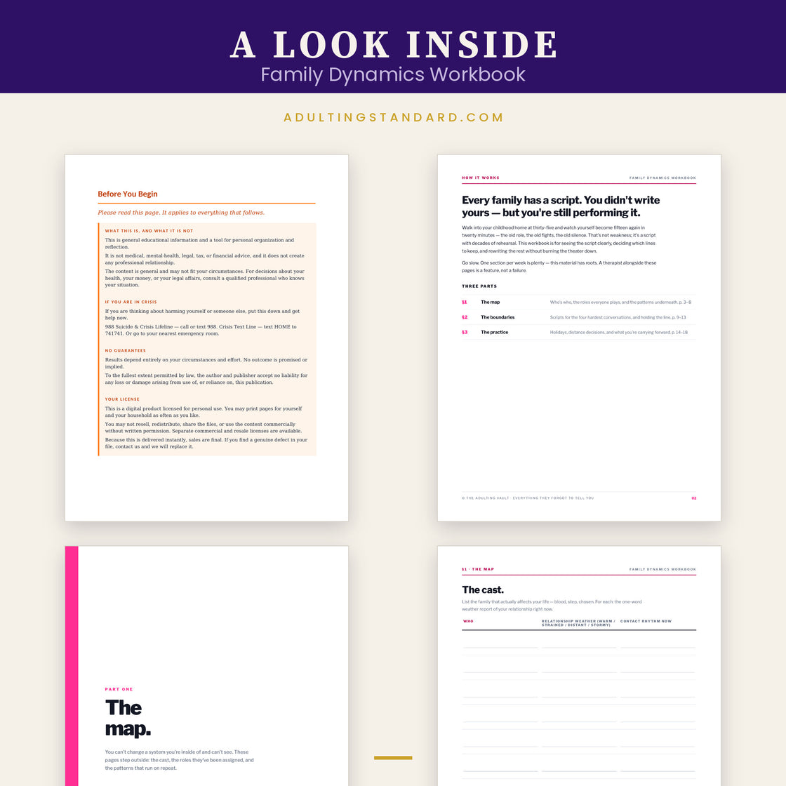 Family Dynamics Workbook — a look inside — sample pages