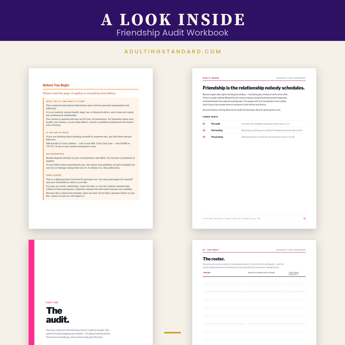 Friendship Audit Workbook — a look inside — sample pages