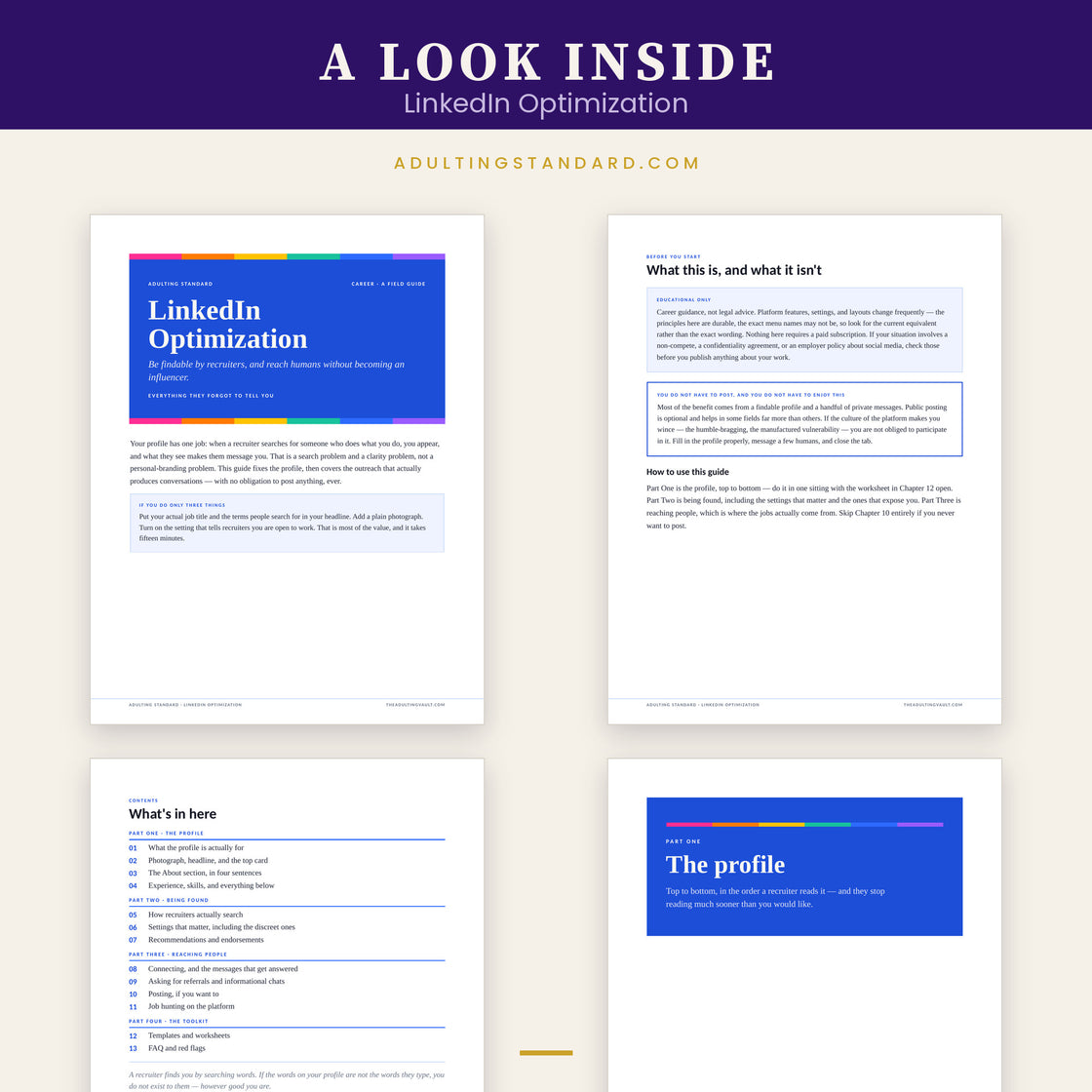 LinkedIn Optimization — a look inside — sample pages