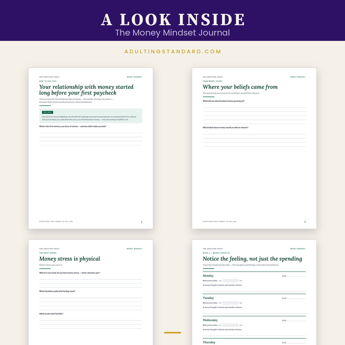 The Money Mindset Journal — a look inside — sample pages