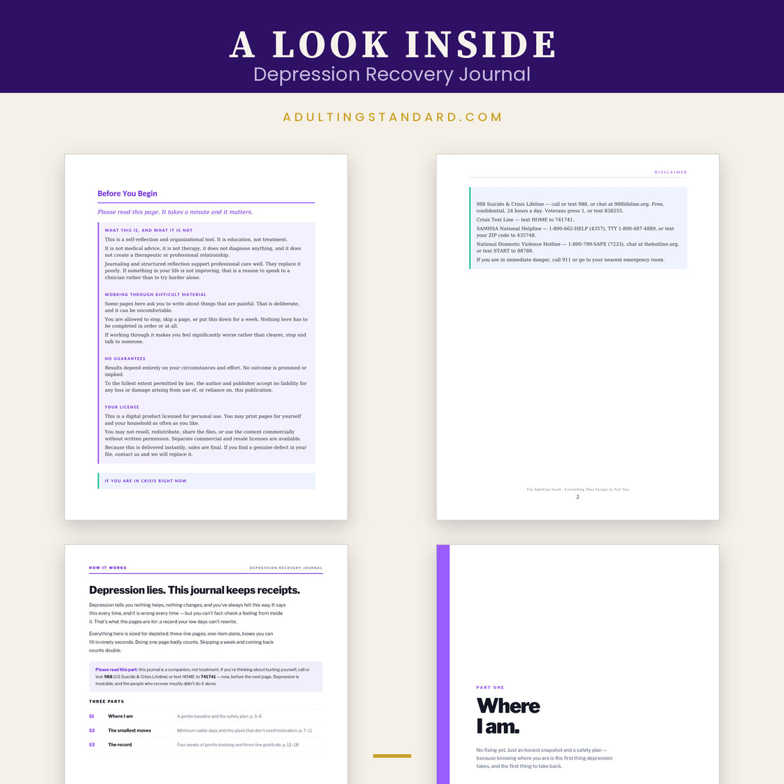Depression Recovery Journal — a look inside — sample pages