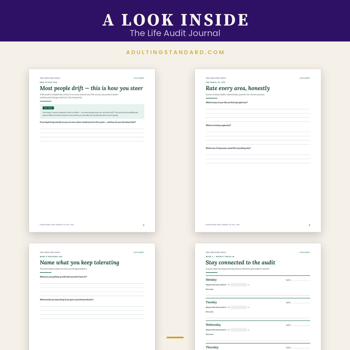 The Life Audit Journal — a look inside — sample pages