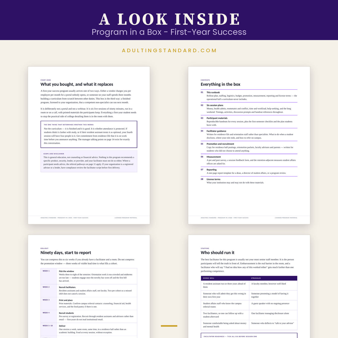 Program in a Box - First-Year Success — a look inside — sample pages