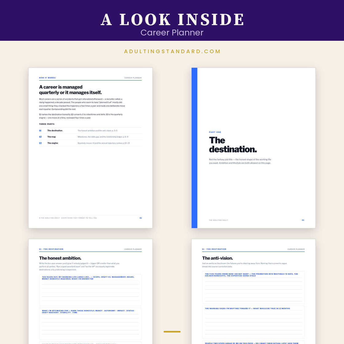 Career Planner — a look inside — sample pages